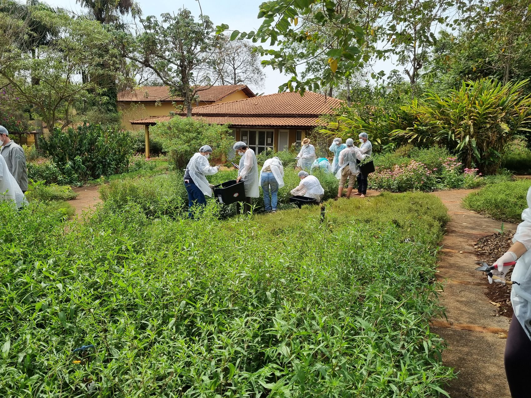 Alunos em prática no Horto de Plantas Medicinais